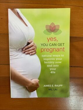 Yes, You Can Get Pregnant by Aimee E Raupp Paperback